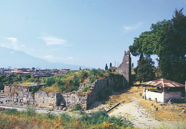 Panorama degli scavi da Porta Vesuvio
