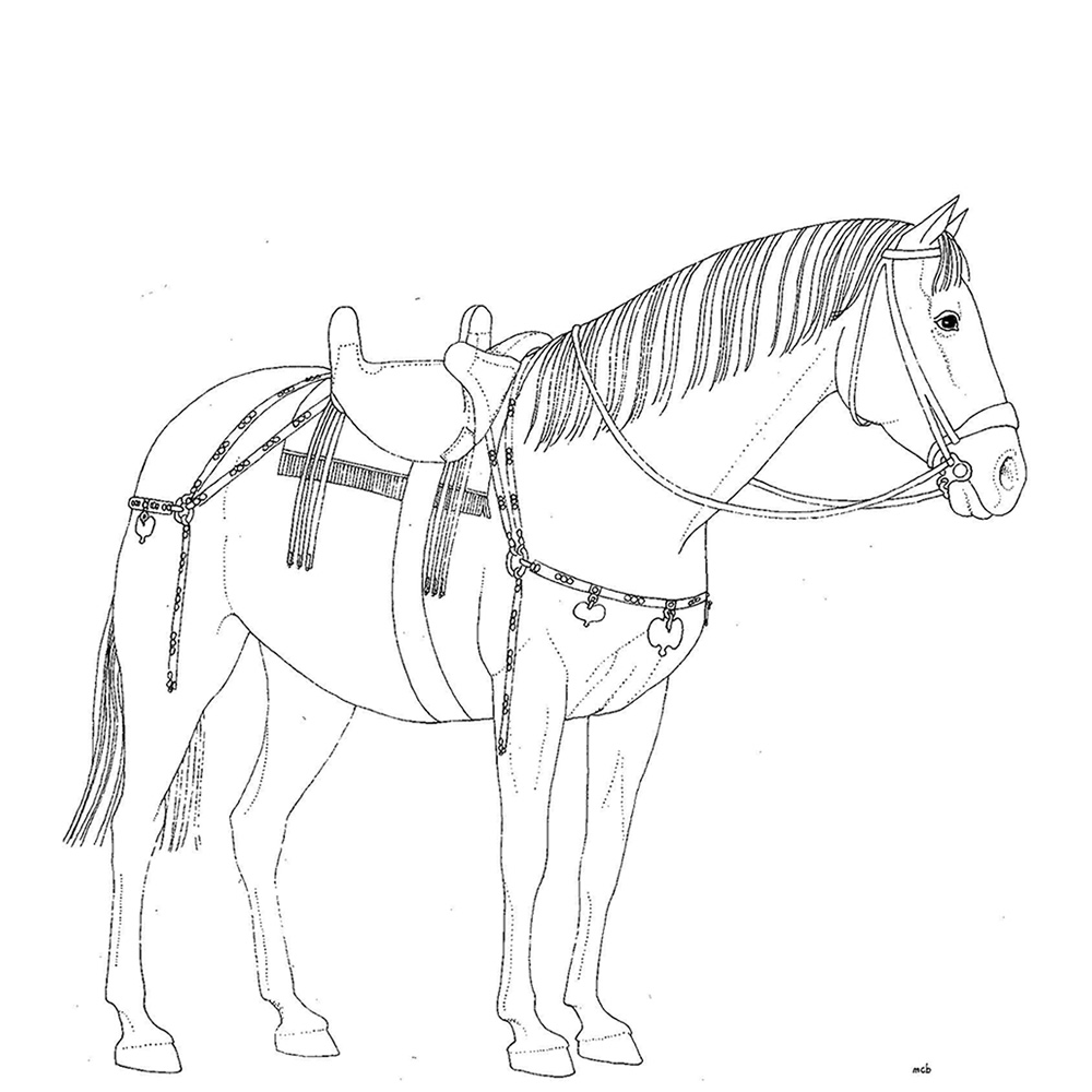 Ultima scoperta a Pompei, ritrovato il cavallo sellato del generale