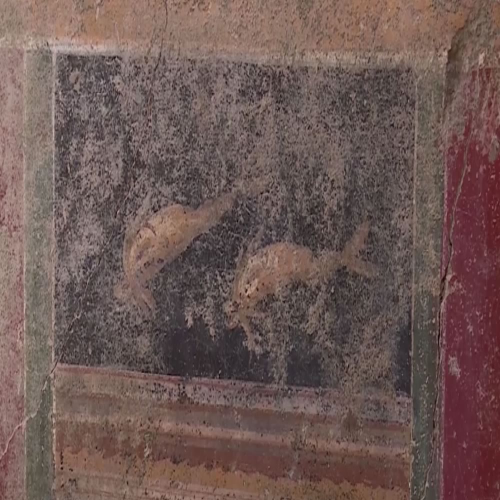 Scoperta a Pompei una nuova domus ribattezzata «Casa dei Delfini»