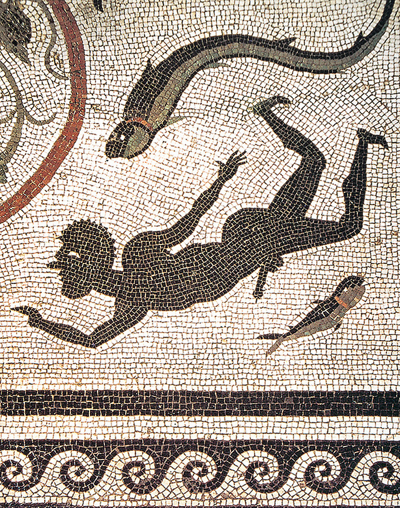 Mosaico con uomo itifallico che nuota. Casa del Menandro
