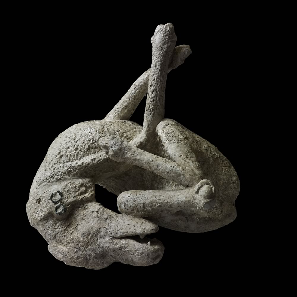 The last breath of Pompeii: the plaster casts technique